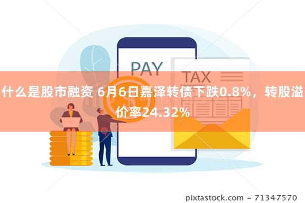 什么是股市融资 6月6日嘉泽转债下跌0.8%，转股溢价率24.32%