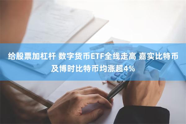 给股票加杠杆 数字货币ETF全线走高 嘉实比特币及博时比特币均涨超4%