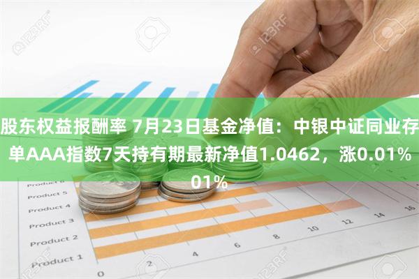 股东权益报酬率 7月23日基金净值：中银中证同业存单AAA指数7天持有期最新净值1.0462，涨0.01%