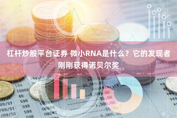 杠杆炒股平台证券 微小RNA是什么？它的发现者刚刚获得诺贝尔奖