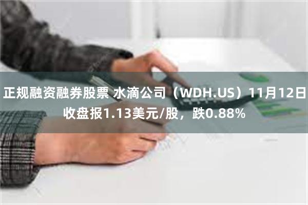 正规融资融券股票 水滴公司（WDH.US）11月12日收盘报1.13美元/股，跌0.88%