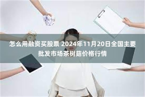 怎么用融资买股票 2024年11月20日全国主要批发市场茶树菇价格行情