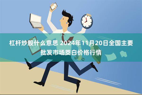 杠杆炒股什么意思 2024年11月20日全国主要批发市场茭白价格行情