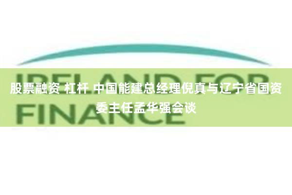 股票融资 杠杆 中国能建总经理倪真与辽宁省国资委主任孟华强会谈