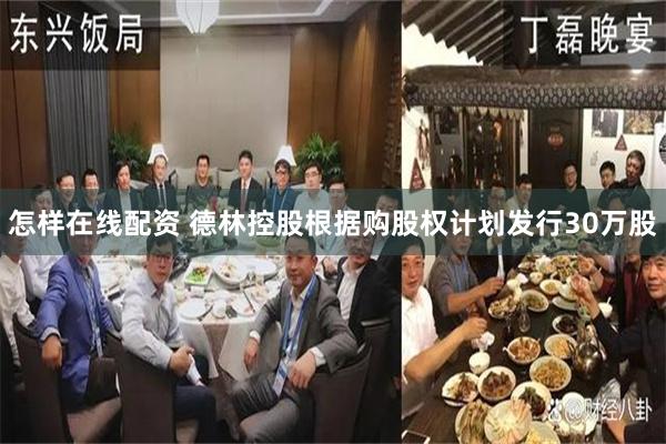 怎样在线配资 德林控股根据购股权计划发行30万股