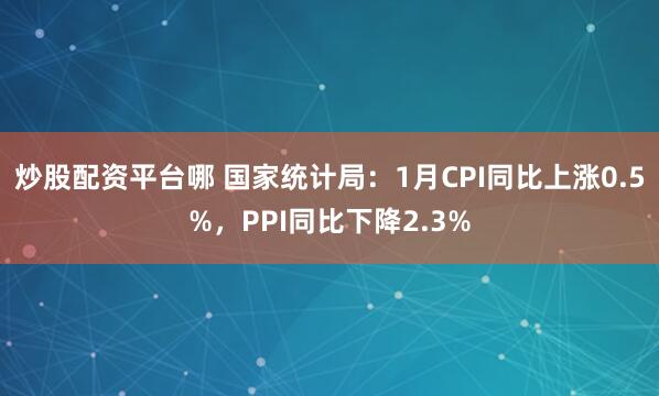 炒股配资平台哪 国家统计局：1月CPI同比上涨0.5%，PPI同比下降2.3%