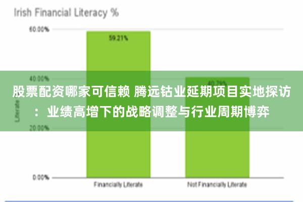 股票配资哪家可信赖 腾远钴业延期项目实地探访：业绩高增下的战略调整与行业周期博弈