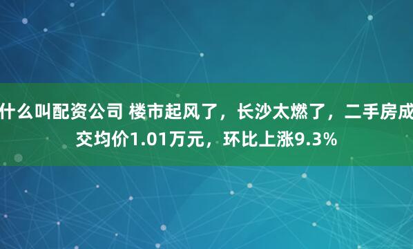 什么叫配资公司 楼市起风了，长沙太燃了，二手房成交均价1.01万元，环比上涨9.3%